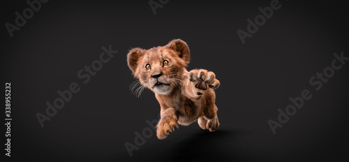 Fotografie, Obraz lion cub playing