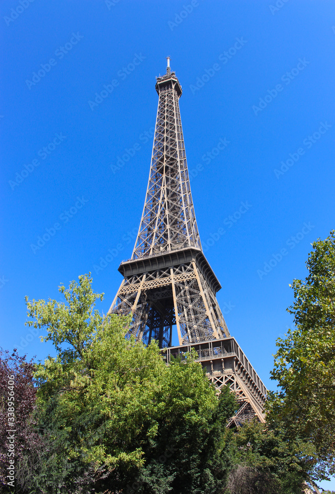 Eiffel Tower with trees