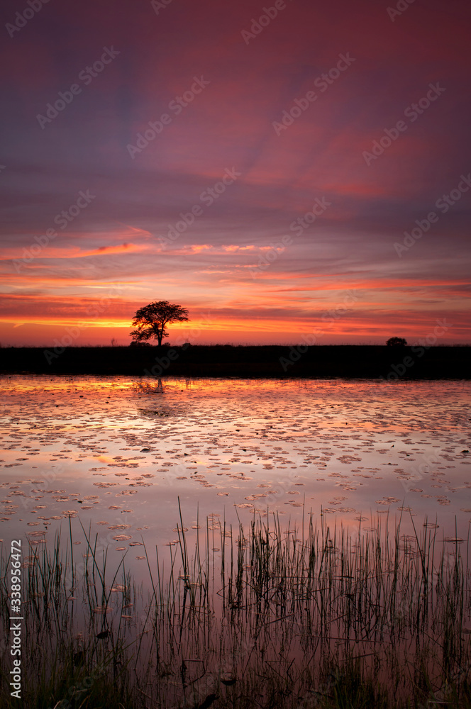The orange tones of a twilight sky reflected in a wetland conservation habitat.