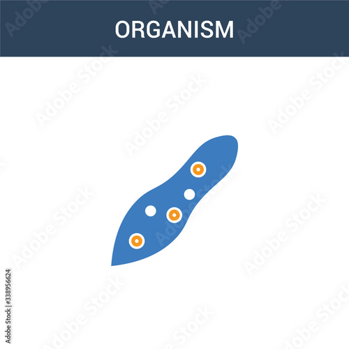 two colored organism concept vector icon. 2 color organism vector illustration. isolated blue and orange eps icon on white background.