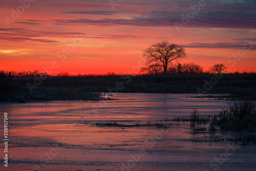 Fotografiet The vivid colors of a winter sunset stream across the frozen surface of a Midwest wetland environment