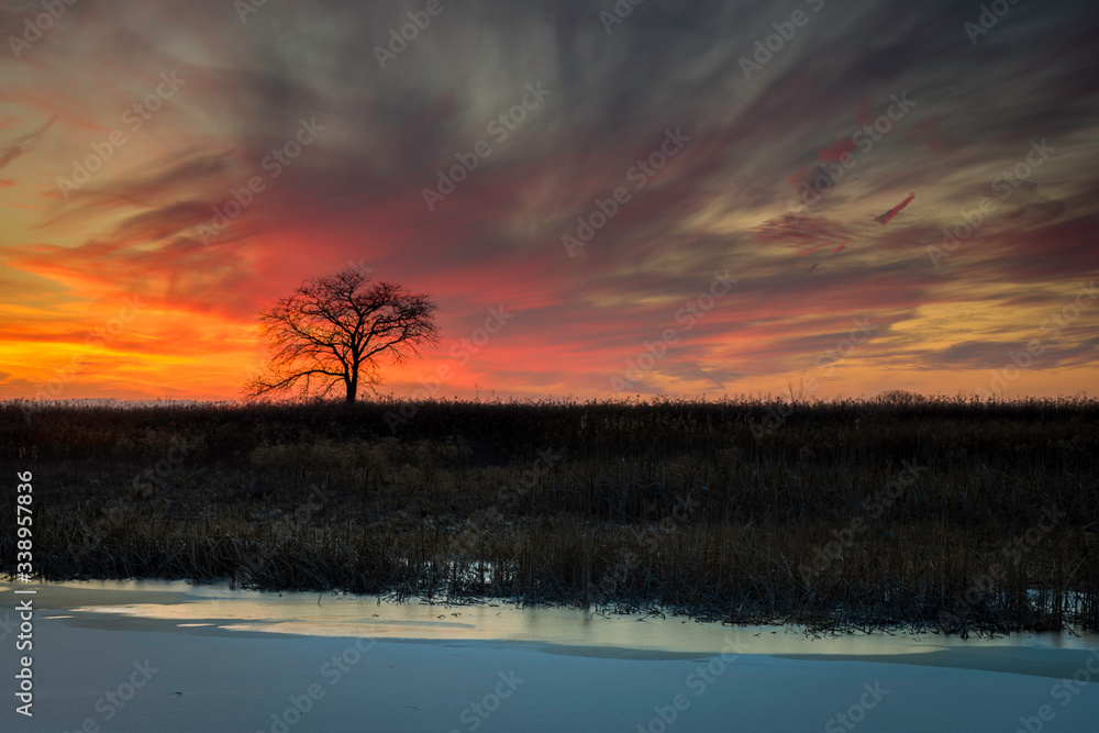 A fiery sunset sky over a frozen midwestern wetland habitat.