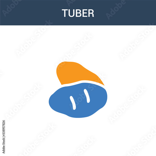 two colored Tuber concept vector icon. 2 color Tuber vector illustration. isolated blue and orange eps icon on white background.