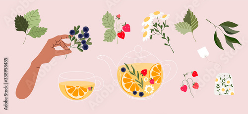 Afternoon tea time. Hand-drawn vector set of tea ceremony elements: tea bag, pot, cup, and variety of berry branches. Hand holding blueberry branch. Chamomile tea in a transparent pot. Trendy vector. 