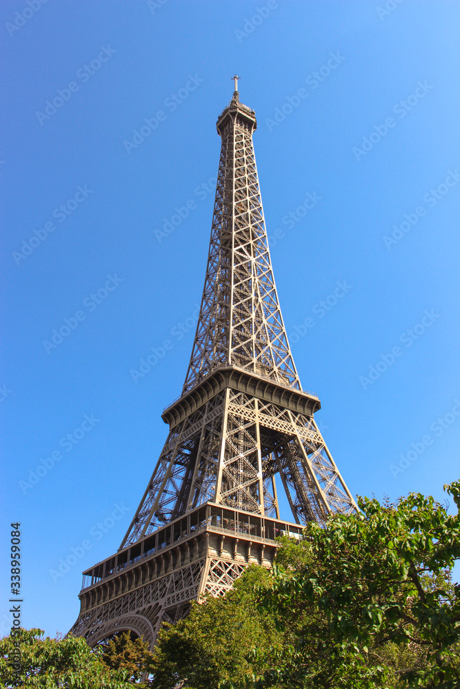 Eiffel Tower with trees