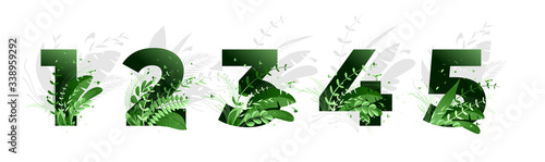 Vector illustration. Flower font numbers 1,2,3,4,5. Green numbers and elements of nature, branches leaves and birds