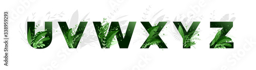 Vector illustration. Flower font alphabet u,v,w,x,y,z. Green letters and elements of nature, branches leaves and birds