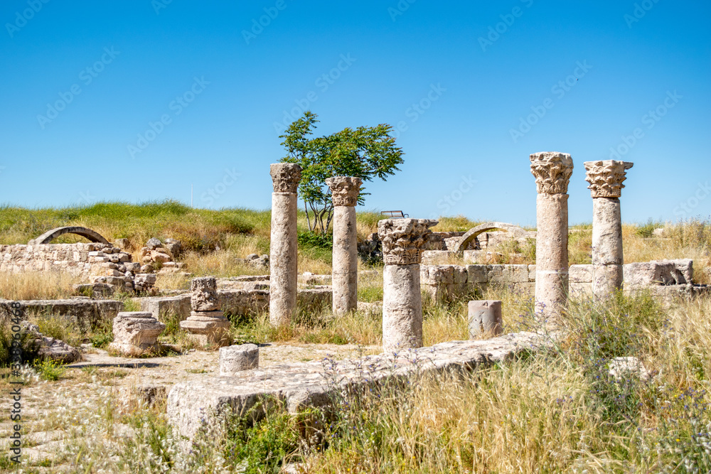 Ancient Ruins at the Citadel in Amman Jordan