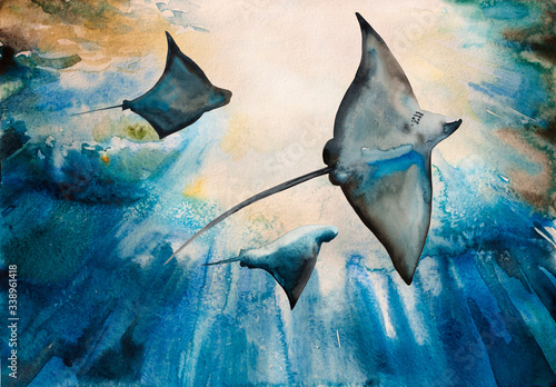 watercolor of giant stingrays dive into the water. Original blue illustration of common eagle ray and two stingrays in differetn poses