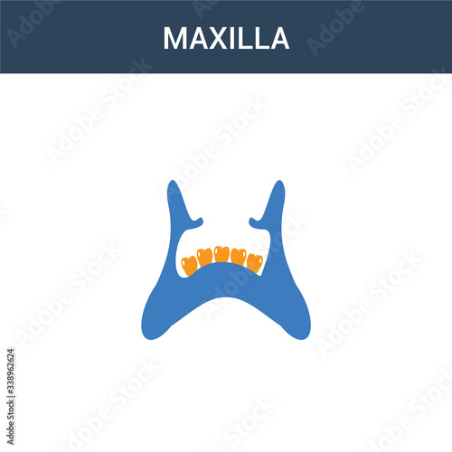two colored Maxilla concept vector icon. 2 color Maxilla vector illustration. isolated blue and orange eps icon on white background.