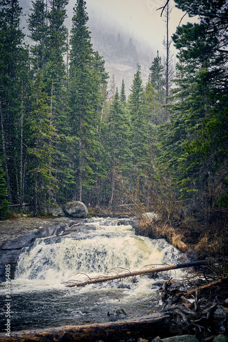 Snow over the forest river