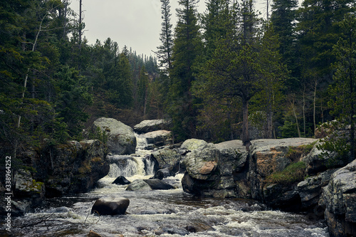 waterfall in the forest