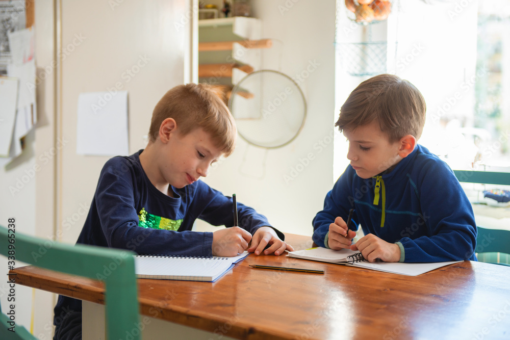 Brothers learning at home, Homeschooling
Brothers learning at home, Homeschooling