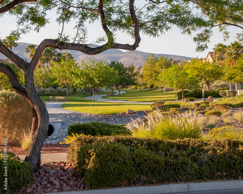 Vivaldi Park, Henderson, NV.