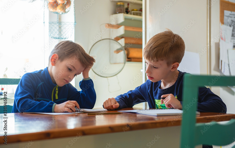 Brothers learning at home, Homeschooling
Brothers learning at home, Homeschooling