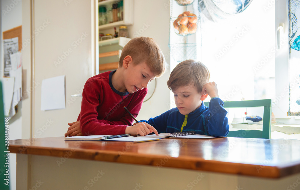 Brothers learning at home, Homeschooling
Brothers learning at home, Homeschooling