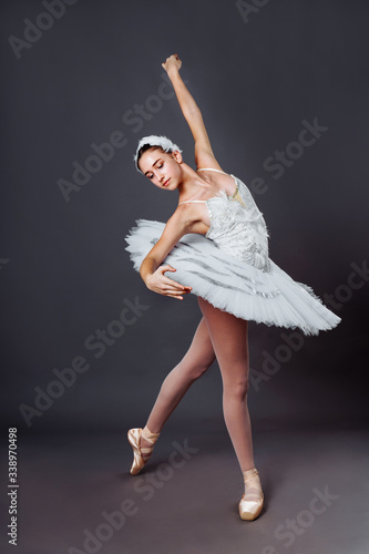 Classical Ballet dancer portrait. Beautiful graceful ballerina in white tutu from Swan lake practice releve ballet position in the studio. Vertical image of gifted young teenager in pointe on hippies