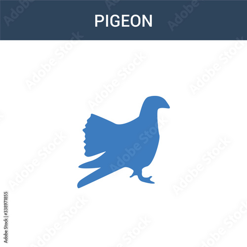 two colored Pigeon concept vector icon. 2 color Pigeon vector illustration. isolated blue and orange eps icon on white background.
