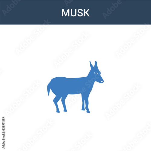 two colored Musk concept vector icon. 2 color Musk vector illustration. isolated blue and orange eps icon on white background.