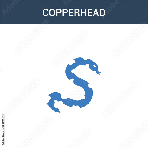 two colored copperhead concept vector icon. 2 color copperhead vector illustration. isolated blue and orange eps icon on white background.
