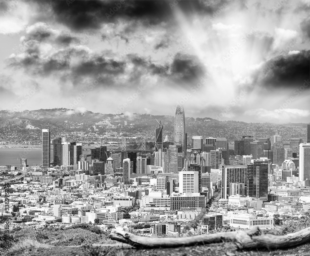Aerial view of San Francisco cityscape from the hill, California
