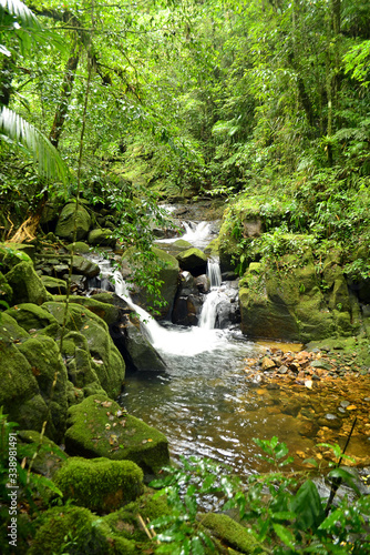 Atlantic forest waterfall