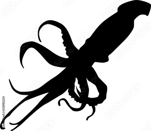 Vector silhouette of a giant sea squid