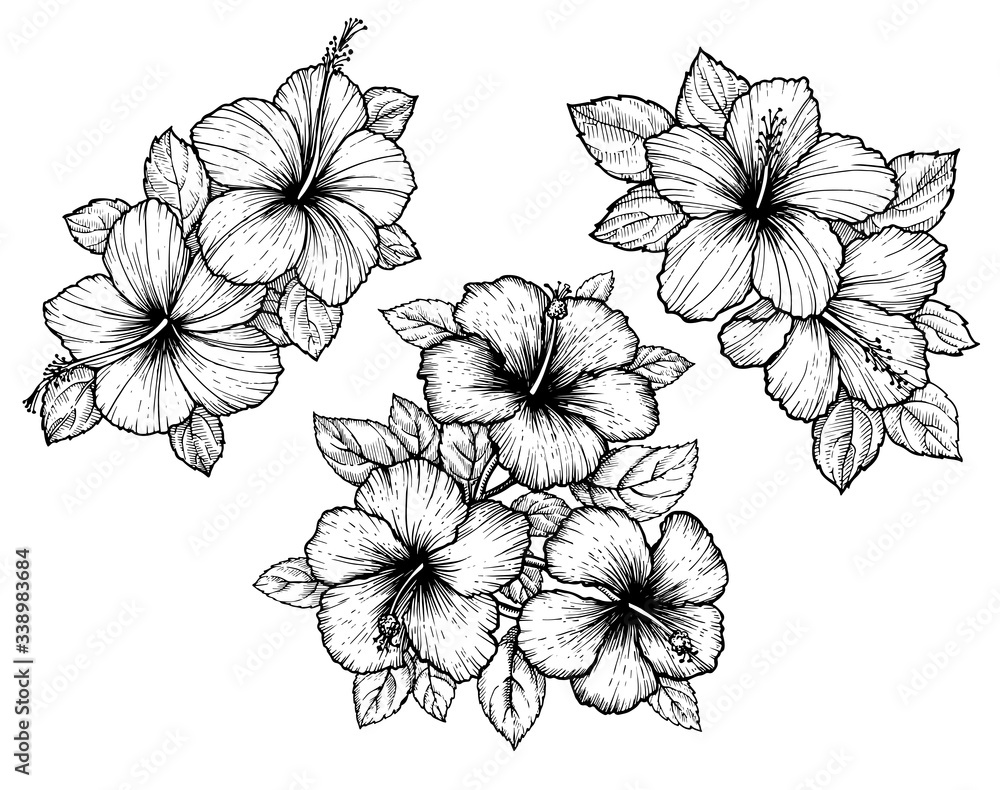 Hand drawn tropical hibiscus flower bouquet with leaves. Sketch florals on white background. Exotic blooms, engraving style for textile, surface design or banner. Great template for coloring book. Hand drawn tropical hibiscus flower bouquet with leaves. Sketch florals on white background. Exotic blooms, engraving style for textile, surface design or banner. Great template for coloring book.