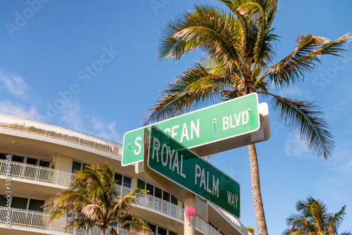 Palm Beach Boulevard, Florida. Road signs and beautiful palm trees against blue sky © jovannig