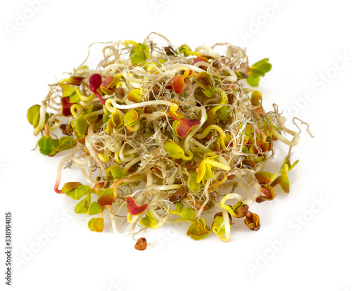 radish sprouts isolated on white
