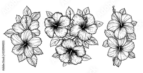 Hand drawn tropical hibiscus flower bouquet with leaves. Sketch florals on white background. Exotic blooms, engraving style for textile, surface design or banner. Great template for coloring book.