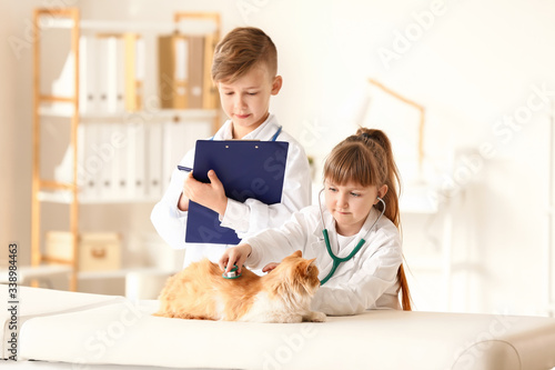 Little veterinarians examin...