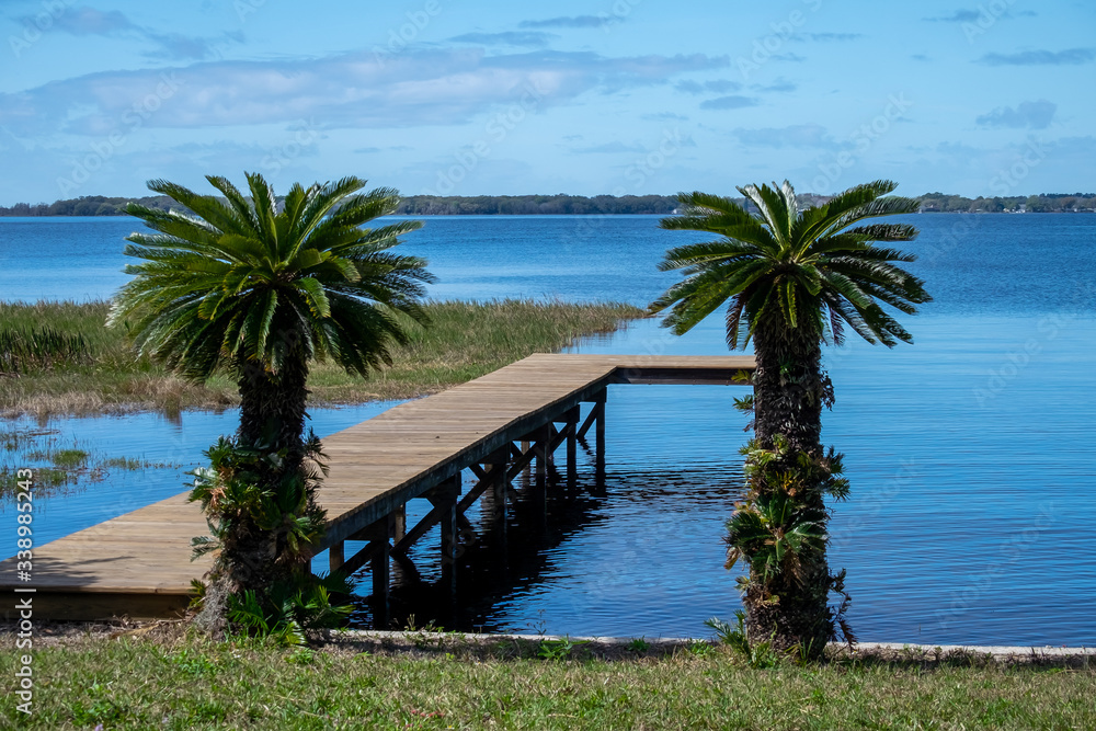 A wooden dock or wharf which is extending out into a smooth blue waterway. There are palm trees in front of the wharf with grass. The sky is blue with some clouds. The land is in the distance. 