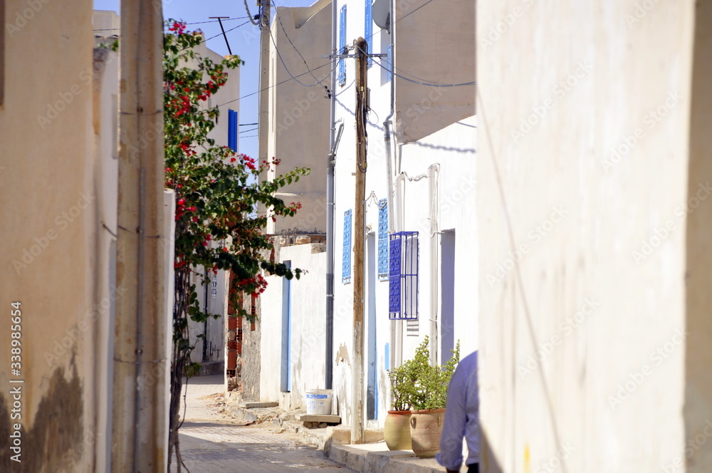 Projekt Djerbahood, street art, Djerba Tunezja - obrazy, fototapety, plakaty 