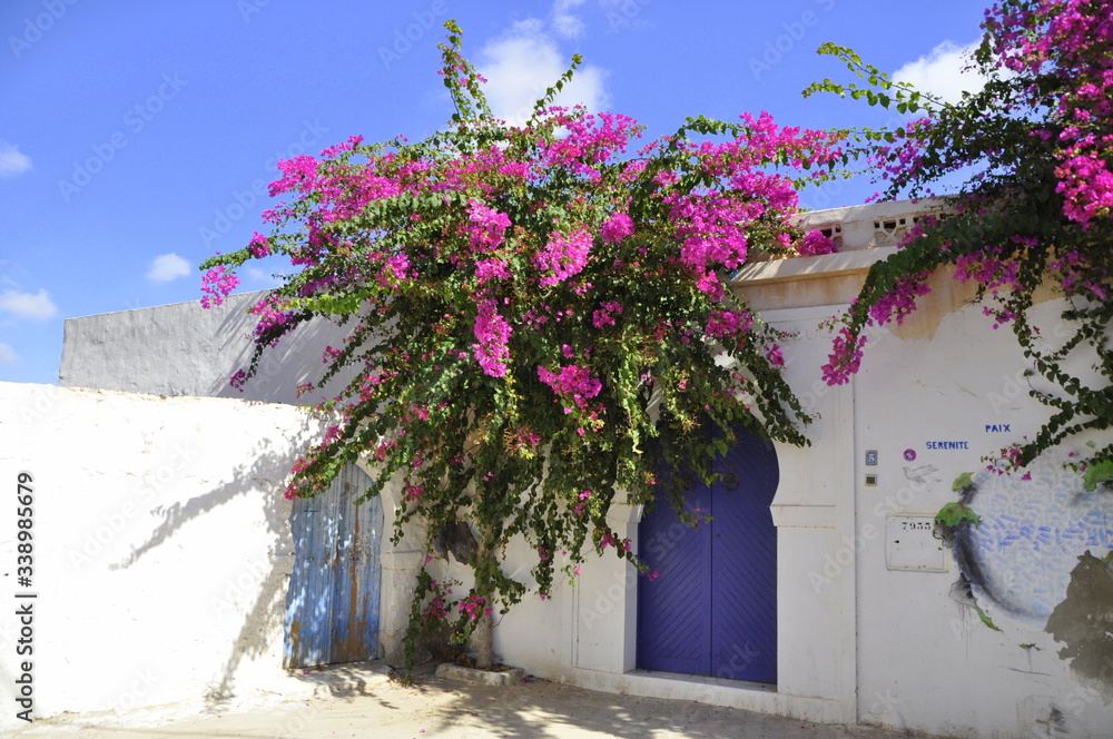 Fototapeta premium Projekt Djerbahood, street art, Djerba Tunezja