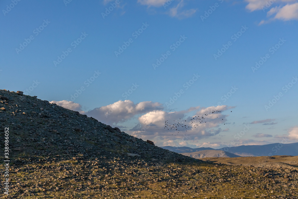 Obraz premium Typical view of Mongolian landscape. Mongolian Altai, Mongolia