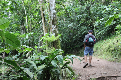 Walking in the Peruvian rainforest