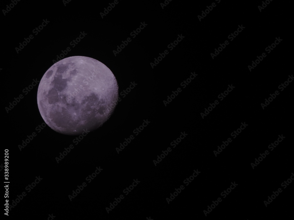 Fototapeta premium luna