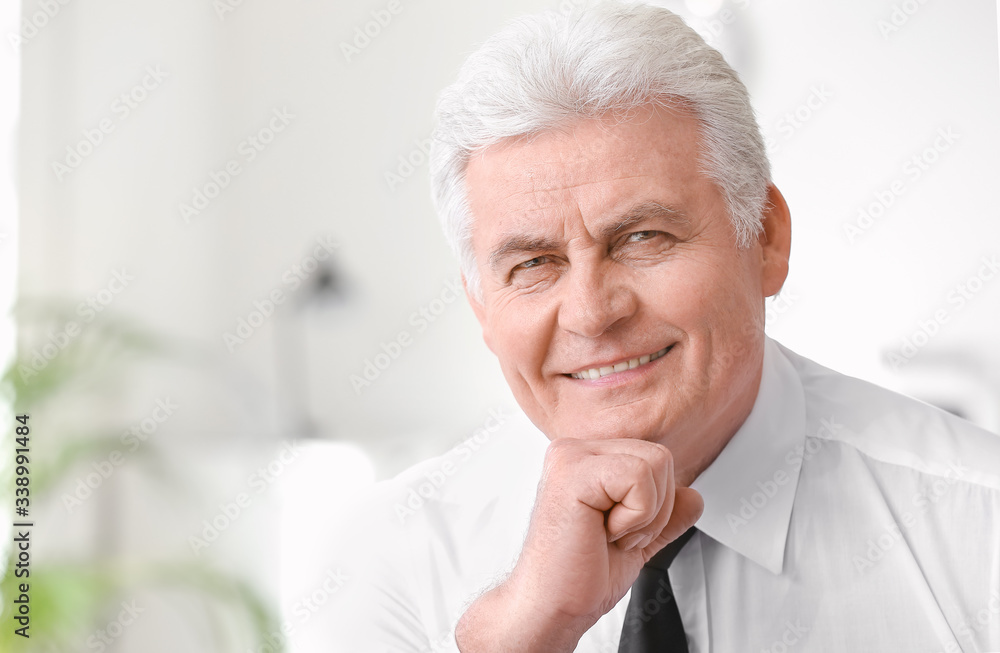 Portrait of handsome senior businessman in office Portrait of handsome senior businessman in office