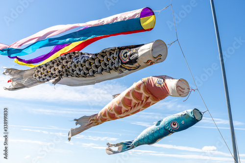 大空を泳ぐ鯉のぼり