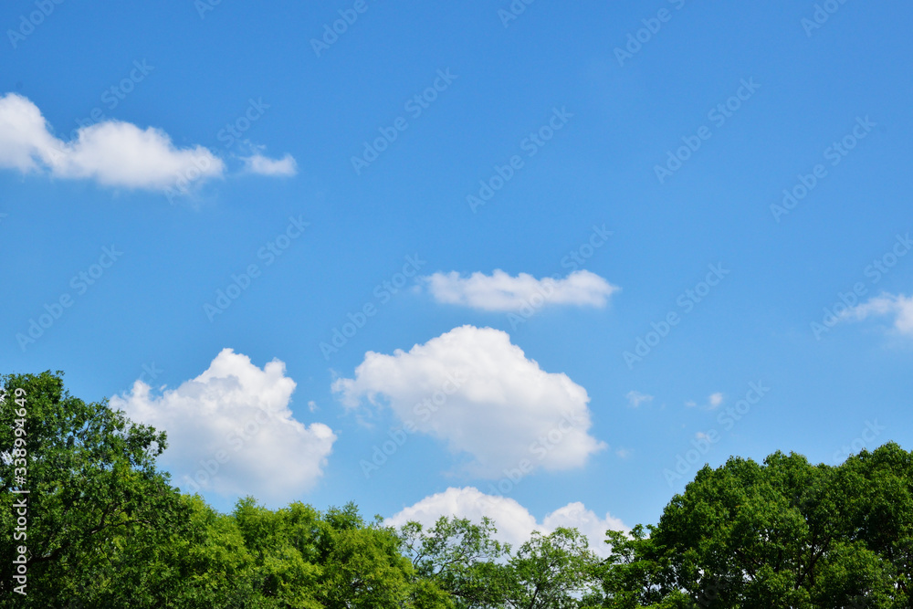 夏の青空と白い雲