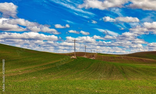 Power lines running across open country fields in Spring