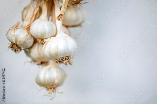 Special Turkish Kastamonu Garlic