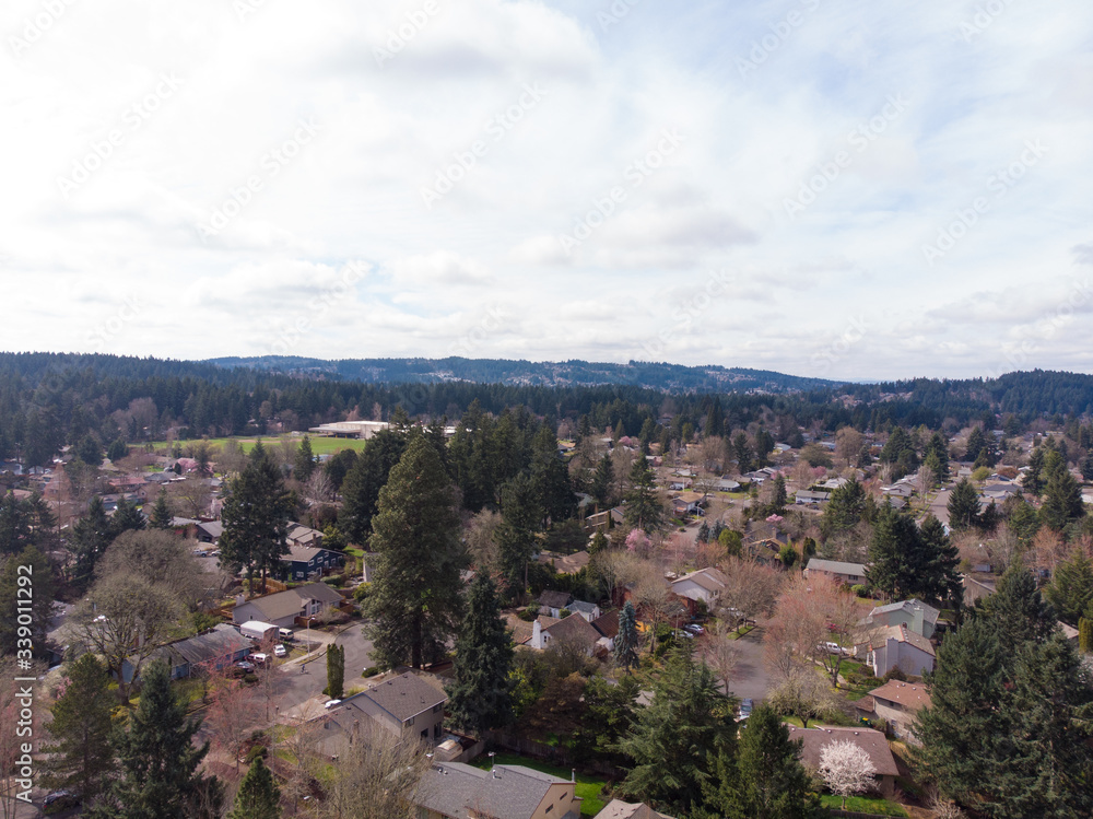 Suburb from a height, USA, filmed from a drone. Trees and houses
