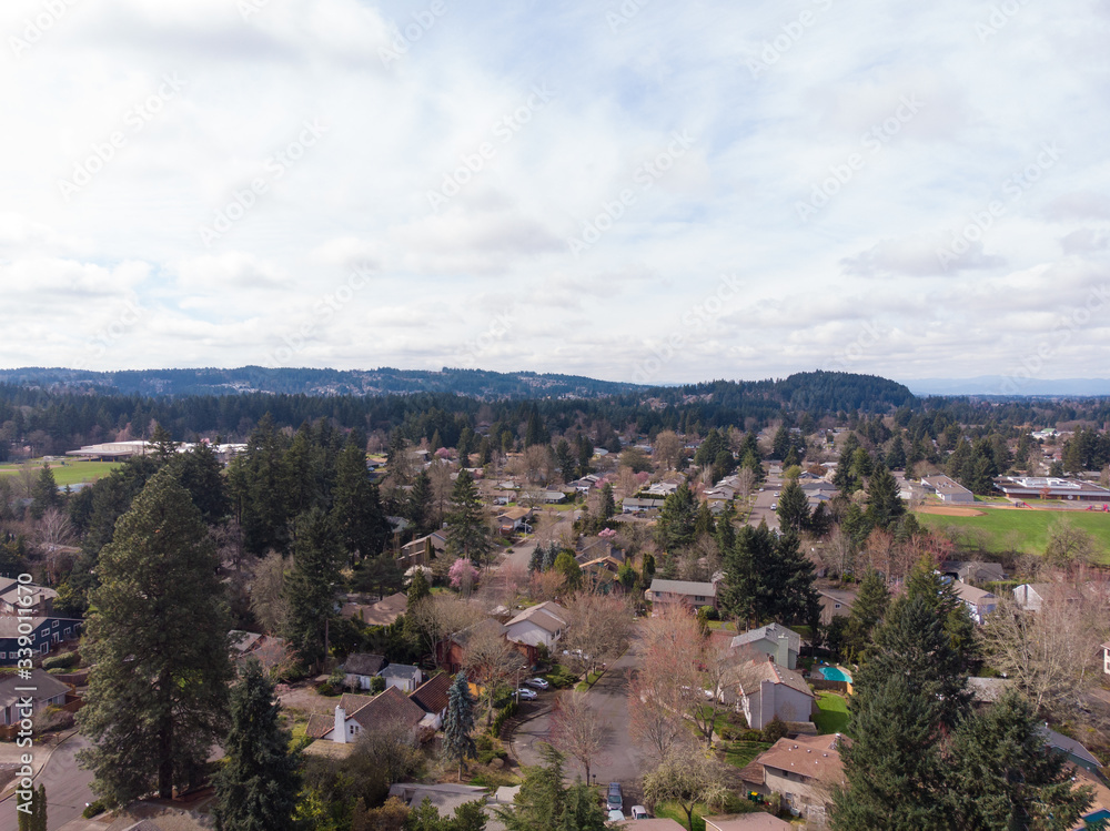 Suburb from a height, USA, filmed from a drone. Trees and houses