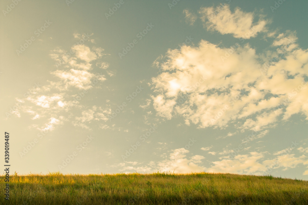 summer sky and high 8altocumulus) clouds landscape and plane horizon field of grass