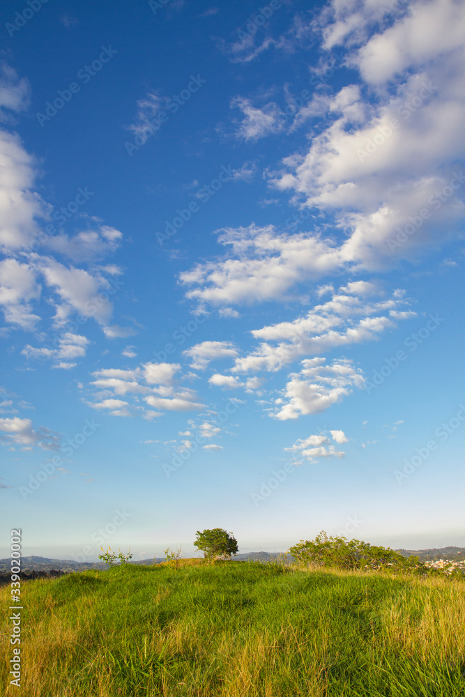 summer sky and high altocumulus) clouds landscape and plane horizon field of grass