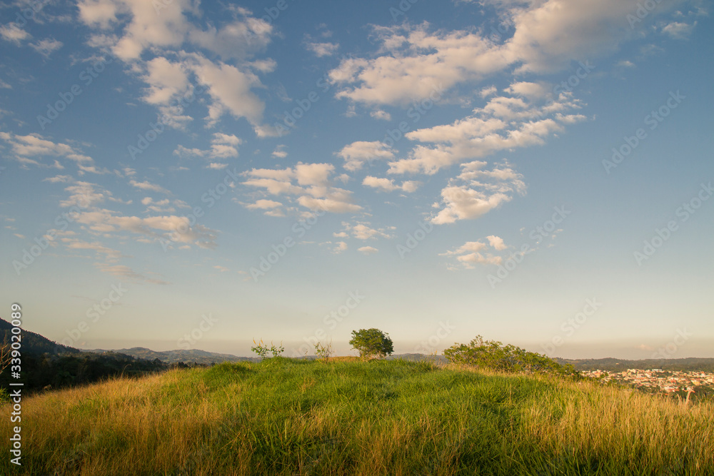 summer sky and high 8altocumulus) clouds landscape and plane horizon field of grass