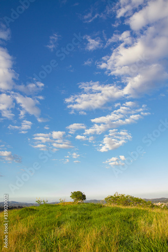 summer sky and high altocumulus) clouds landscape and plane horizon field of grass
