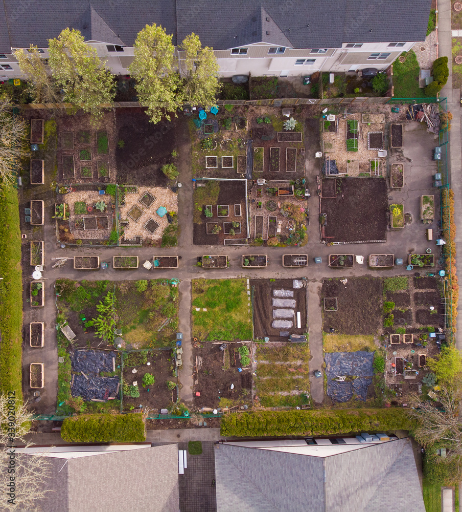 Gardens in the USA, a household site, hobbies and garden plots and growing vegetables. View from above Gardens in the USA, a household site, hobbies and garden plots and growing vegetables. View from above